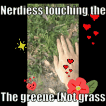 Nerdious Touch Grass GIF - Nerdious Touch Grass The Greene GIFs