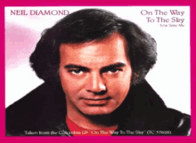 neil diamond winking wink 1981 album cover