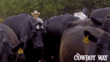 Herding Cody Harris GIF - Herding Cody Harris The Cowboy Way GIFs