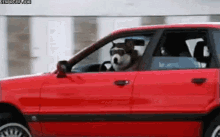 Drive What GIF - Drive What Dog GIFs