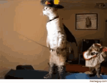 Cat Mouse GIF - Cat Mouse GIFs