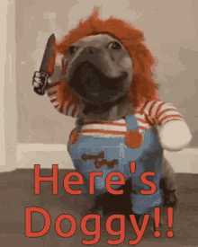 Funny Dogs GIF - Funny Dogs Costume GIFs