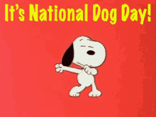 Its National Dog Day GIF - Dog Day National Dog Day Snoopy GIFs