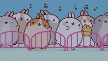 p%C3%BAblico concierto m%C3%BAsica molang piu piu p%C3%BAblico concierto m%C3%BAsica molang piu piu