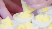 eggs deviled eggs creamy delicious