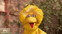Sesame Street Big Bird GIF - Sesame Street Big Bird Talking GIFs