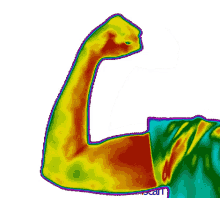 termografo termography termografia bra%C3%A7o camera flir termoscopia