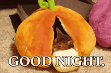 Good Night Pumpkin GIF - Good Night Pumpkin Sleeping GIFs
