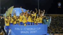 levantando a taca cbf confederacao brasileira de futebol selecao brasileira sub17 celebracao time