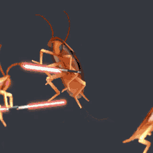 Lightsaber Bug GIF - Lightsaber Bug Spin GIFs