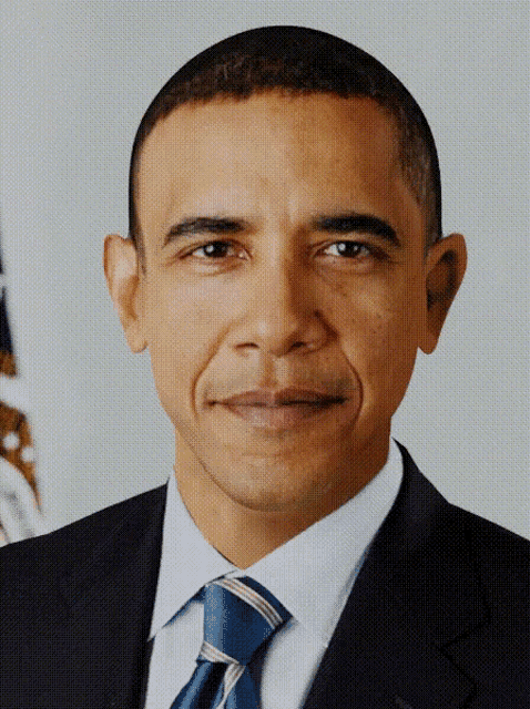 Nobama GIF - Nobama No Obama GIFs