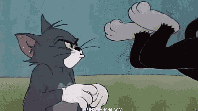 Glove Slap GIF - Glove Slap Tom And Jerry GIFs.