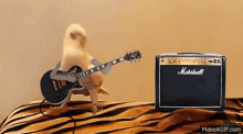 scott dude guitar playing guitar scott dude guitar playing guitar