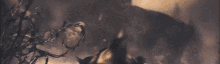 minotaurs total war warhammer beastmen rage horns minotaurs total war warhammer beastmen rage horns