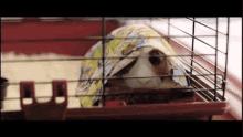 Bugsy Hamster GIF - Bugsy Hamster Bedtime Stories GIFs