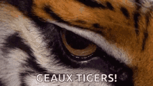 Lsu Football Geaux Tigers GIF - Lsu Football Geaux Tigers Eyes GIFs