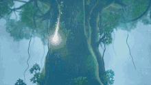 seiken densetsu trials of mana tree fantasy forest