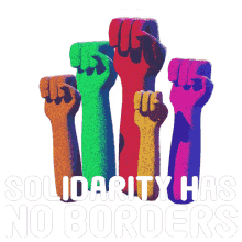 solidarity no