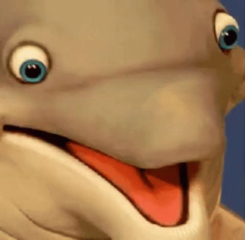 excited-dolphin.gif