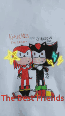 knuckles the echidna shadow the hedgehog the best friends