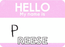 princess hello my name is princess pink princess reese princess hello my name is princess pink princess reese