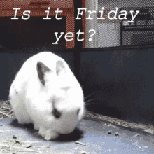 is friday