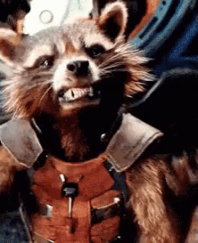 Guardians Of The Galaxy Rocket GIF - Guardians Of The Galaxy Rocket Mad GIFs