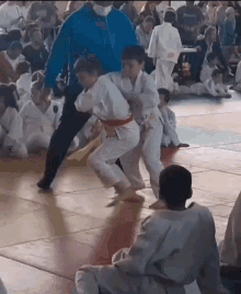 Judo Karate GIF - Judo Karate Hugo GIFs