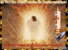 Felices Pascuas De Resurrecion Resucito GIF - Felices Pascuas De Resurrecion Resucito Aleluya GIFs