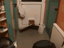 Fat Cat Tight Fit Through Door GIF - Tight Fit Tight Squeeze Get It In GIFs