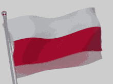 Flaga Polska GIF - Flaga Polska Poland GIFs