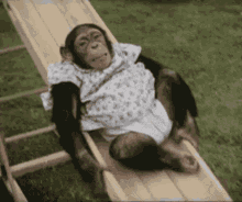 Monkey Slide GIF - Monkey Slide Playing Around GIFs