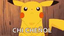 Chi Chenol About Chenol GIF - Chi Chenol About Chenol Pikachu GIFs
