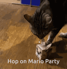 mario party hop on mario party mario floppa mario party hop on mario party mario floppa