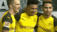 Bvb Borussia Dortmund GIF - Bvb Borussia Dortmund Bundesliga GIFs