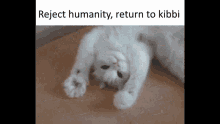 Reject Humanity Become Kibbi GIF - Reject Humanity Become Kibbi Cat GIFs