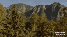 Washington State GIF - Twin Peaks Twin Peaks The Return Twin Peaks Series GIFs