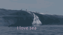 I Love Sea Sea Activities GIF - I Love Sea Sea Activities Adventure Activities GIFs