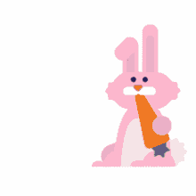 fist bump bye carrot bunny eating