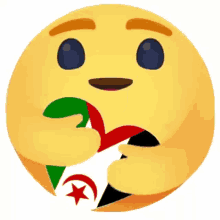 Sahara Occidental Emoji GIF - Sahara Occidental Emoji Smiley GIFs