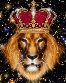 Leo King Lion GIF - Leo King Lion Crown GIFs