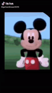 Misca Mousca Mick Mouse GIF - Misca Mousca Mick Mouse GIFs