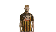 kilkenny bord gais hurling hurling to the core sport