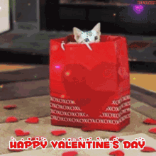 Valentines Day Cute Cat GIF - Valentines Day Cute Cat Hearts GIFs