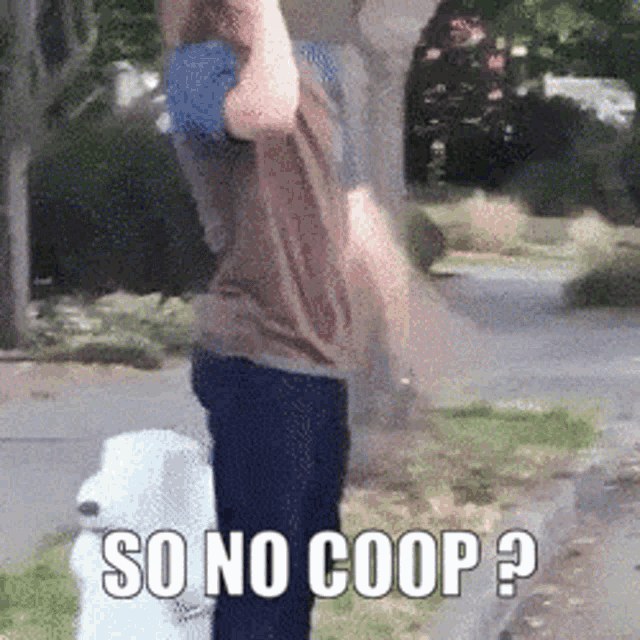 So No Coop Go Coop GIF - So No Coop Go Coop Play Coop Game GIFs