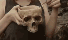 skull-skull-bowl.gif