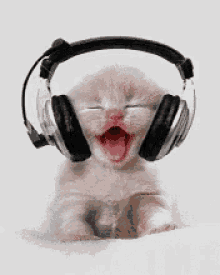 Swapnil Listening To Music GIF - Swapnil Listening To Music Kitten Listening To Music GIFs