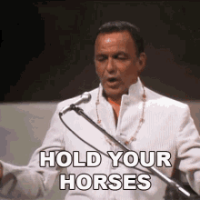 Hold Your Horses Frank Sinatra GIF - Hold Your Horses Frank Sinatra Nice N Easy Song GIFs