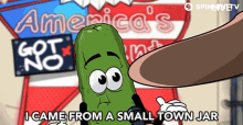 i came from a small town jar and ive always wanted to be a star pickle sing it spinnin records spinnin