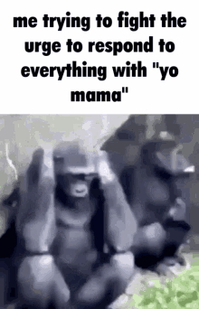 monkey yo mama